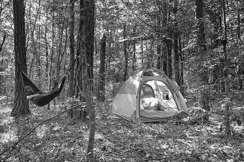 Sable Speedome Tent, Grey, 2 Man in Saudi Arabia