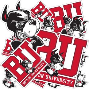 Desert Cactus Boston University Sticker Terriers BU Stickers Vinyl Decals Laptop Water Bottle Car Scrapbook T1 (Type 1-1)