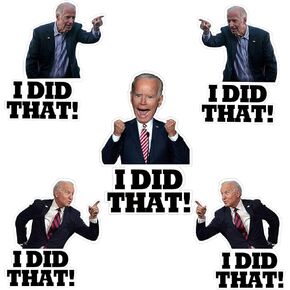 100 Pcs I Did That Biden Stickers, Biden I Did That Stickers, Funny I Did That Stickers, Mixed 5 Different Patterns