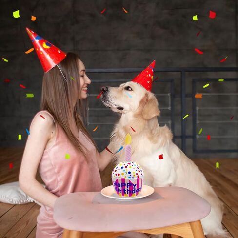 لعبة كعكة عيد ميلاد الكلب كب كيك مقاس 8 بوصة لحفلات الكلاب من القطيفة ألعاب هدايا للكلاب المتوسطة والكبيرة والصغيرة والجرو (أزرق) in Saudi Arabia