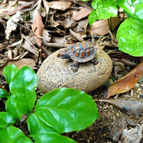 إخفاء مفتاح خارجي - صخرة مزيفة للمفتاح - مخفي مفتاح صخري مزيف خارجي - تصميم حجري مضغوط، مادة راتنجية مقاومة للماء ومحمية من الشمس - مخفي مفتاح مثالي للديكور الخارجي والأمن (مفتاح الروك 1) in Kuwait