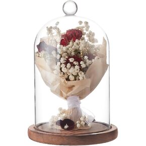 BENECREAT 7x5 Inch Glass Dome Cloche with Wooden Base, Rustic Bell Jar Display Clear Glass Bell Cloche for Plants, Fairy Lights or Table Decor