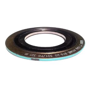 Sterling Seal & Supply SSS 9000IR1321GR150X6 Spiral Wound Gasket with 321SS Inner Ring, 1" Pipe Size x 150# x (321SS/FG) For applications with High Temperature Variations and/or Pressure Variations, Turquoise Band with Gray Stripe (Pack of 6)