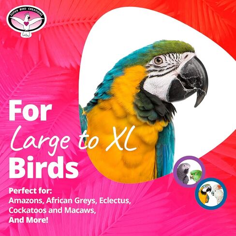 Super Bird Creations - SB439 Beakasaurus Bird Toy - Vibrant Bird Toy for Macaws, Cockatoos, Eclectus & African Greys with Chewable Elements - Perfect Toy for Beak Health - Large to XL Bird Size in Saudi Arabia