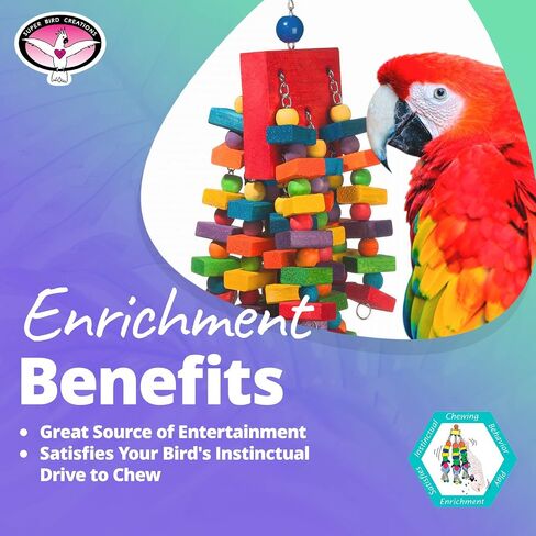 Super Bird Creations - SB439 Beakasaurus Bird Toy - Vibrant Bird Toy for Macaws, Cockatoos, Eclectus & African Greys with Chewable Elements - Perfect Toy for Beak Health - Large to XL Bird Size in Saudi Arabia