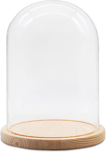 Glass Cloche Dome D5.9 xH8.3 Clear Display Bell Jar with Wooden Base Glass Tabletop Decoration Display Case for Plants Home Ornament in Saudi Arabia