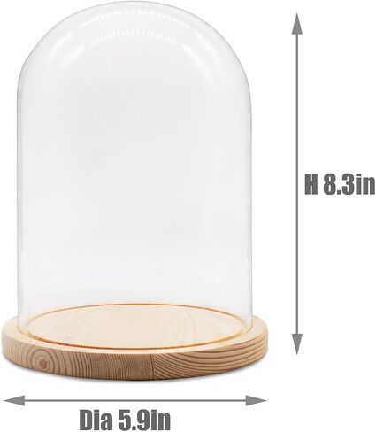 Glass Cloche Dome D5.9 xH8.3 Clear Display Bell Jar with Wooden Base Glass Tabletop Decoration Display Case for Plants Home Ornament in Saudi Arabia