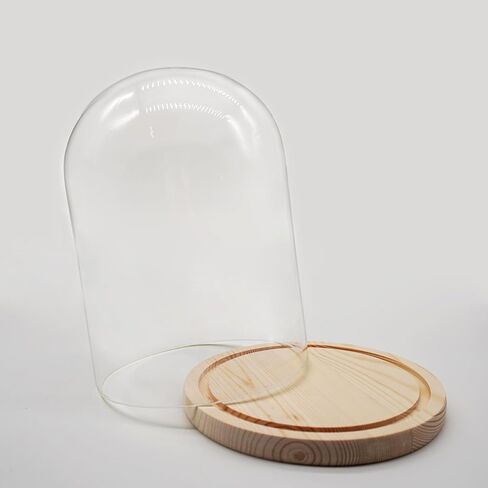 Glass Cloche Dome D5.9 xH8.3 Clear Display Bell Jar with Wooden Base Glass Tabletop Decoration Display Case for Plants Home Ornament in Saudi Arabia