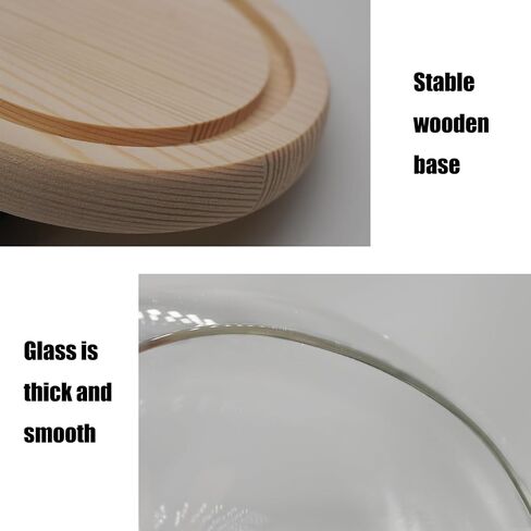 Glass Cloche Dome D5.9 xH8.3 Clear Display Bell Jar with Wooden Base Glass Tabletop Decoration Display Case for Plants Home Ornament in Saudi Arabia