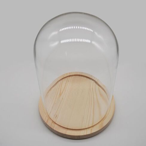 Glass Cloche Dome D5.9 xH8.3 Clear Display Bell Jar with Wooden Base Glass Tabletop Decoration Display Case for Plants Home Ornament in Saudi Arabia