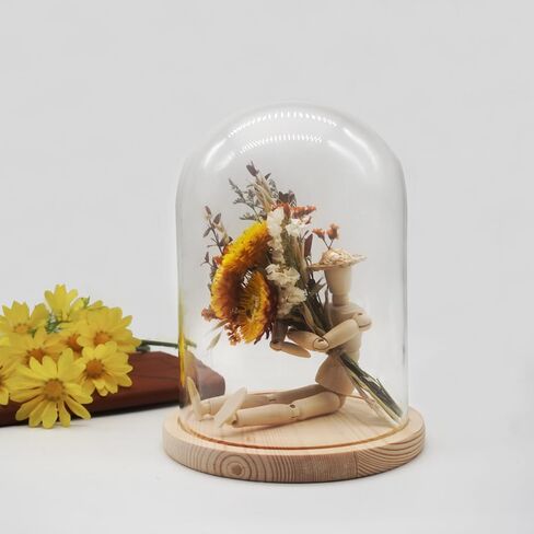 Glass Cloche Dome D5.9 xH8.3 Clear Display Bell Jar with Wooden Base Glass Tabletop Decoration Display Case for Plants Home Ornament in Saudi Arabia