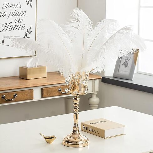 10 Pcs Natural Ostrich Feathers Making Kit (White) in Saudi Arabia