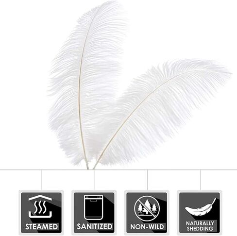10 Pcs Natural Ostrich Feathers Making Kit (White) in Saudi Arabia