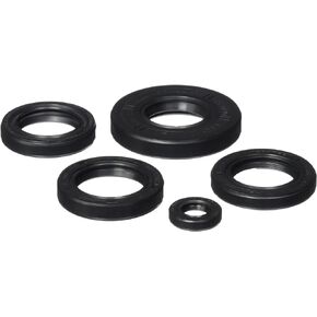 822251 Oil Seal Kit