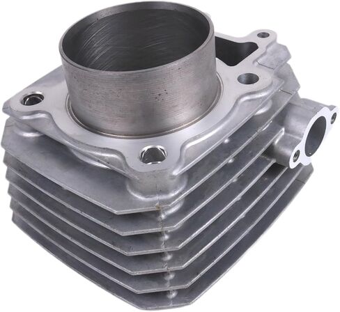 Cylinder Jug Piston Top End Kit Compatible with Kawasaki Bayou KLF 250 2003-2011 Engine Repair 69mm 11005-1965 ATV in Saudi Arabia