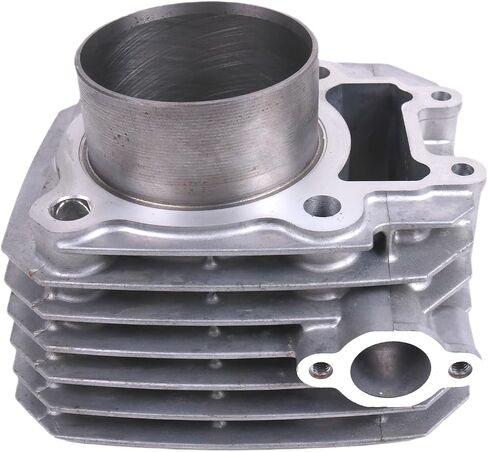 Cylinder Jug Piston Top End Kit Compatible with Kawasaki Bayou KLF 250 2003-2011 Engine Repair 69mm 11005-1965 ATV in Saudi Arabia