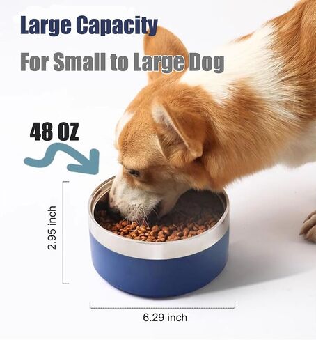 Dog Bowl, Dog Food Water Bowl with Non-Slip Rubber Base, Stainless Steel Dog Bowls, Double Wall Dog Bowl Small Medium Large Dogs, 48oz, Pack of 2 (Blue) in Kuwait