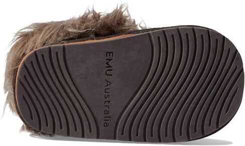 EMU أستراليا إنسان الغاب ووكر (رضيع) in Kuwait