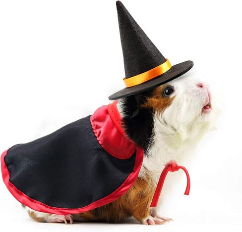 أزياء عطلات خنزير غينيا من RYPET - قبعة خنزير غينيا ورأس لتنين النمس شينشيلا الملتحي والحيوانات الأخرى ذات الحجم المماثل in Kuwait