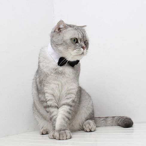 Adjustable Formal Pet Bowtie Collar Neck Tie for Dogs and Cats Wedding Grooming Costumes (L, Black) in Saudi Arabia