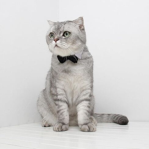 Adjustable Formal Pet Bowtie Collar Neck Tie for Dogs and Cats Wedding Grooming Costumes (L, Black) in Saudi Arabia
