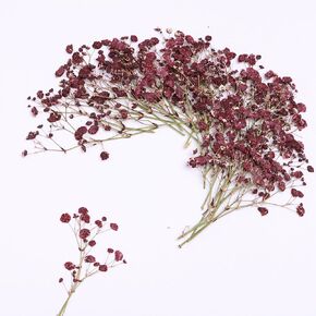 30 Pcs Fuchsia Baby's Breath Real Dried Pressed Flowers.Vacuum-Packed Mini DriedBaby's Breath Flowe Specimen +1 Tweezers, for Resin Art /DIY Making Wedding Card/ Home Party Decor.