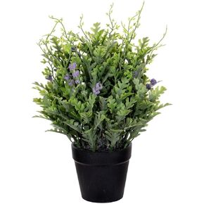 Vickerman 11" Green Artificial Senecio Cineraria in Plastic Pot.