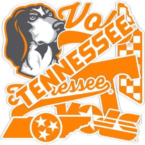 Desert Cactus University of Tennessee Stickers UT Knoxville Volunteers Vols Sticker Vinyl Decals Laptop Water Bottle Car Scrapbook T2 (Type 2-2)