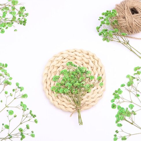 30 Pcs Fuchsia Baby's Breath Real Dried Pressed Flowers.Vacuum-Packed Mini DriedBaby's Breath Flowe Specimen +1 Tweezers, for Resin Art /DIY Making Wedding Card/ Home Party Decor. in Kuwait