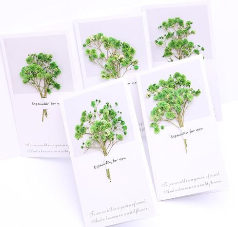 30 Pcs Fuchsia Baby's Breath Real Dried Pressed Flowers.Vacuum-Packed Mini DriedBaby's Breath Flowe Specimen +1 Tweezers, for Resin Art /DIY Making Wedding Card/ Home Party Decor. in Kuwait