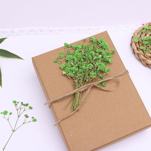 30 Pcs Fuchsia Baby's Breath Real Dried Pressed Flowers.Vacuum-Packed Mini DriedBaby's Breath Flowe Specimen +1 Tweezers, for Resin Art /DIY Making Wedding Card/ Home Party Decor. in Kuwait