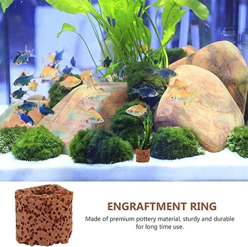 حلقة ثابتة لنباتات حوض السمك المائية، 30 قطعة من النباتات المائية، حامل للنباتات، حوض السمك، الفخار، حلقة الجاذبية، حلقات عشبية لخزان الأسماك، أداة حلقة وعاء النبات لتزيين المناظر الطبيعية لحوض السمك in Kuwait