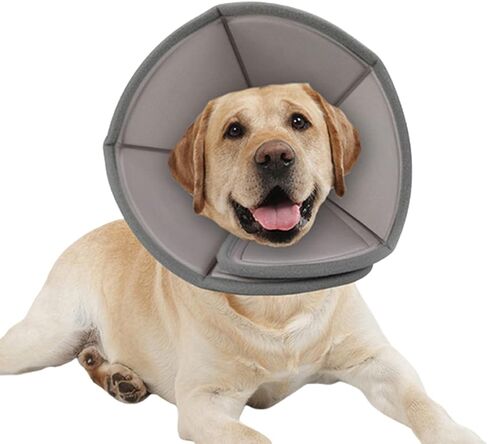 طوق تعافي الكلاب من أفانير، طوق مخروطي للكلاب بعد الجراحة، طوق حماية للحيوانات الأليفة قابل للتعديل أو للكلاب الصغيرة والمتوسطة الكبيرة in Kuwait