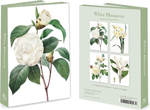 محفظة Nelson Line White Blossoms Flower Notecard مع مظاريف، 4.5 × 6 بوصات، حزمة من 12 بطاقة in Kuwait