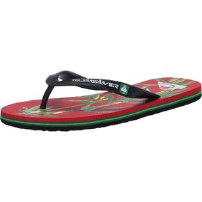 Quiksilver Men's Molokai Art Ii 3 Point Flip Flop Sandal