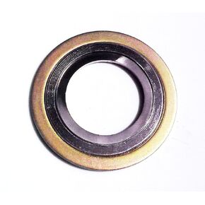 Sterling Seal and Supply , Inc. API 601 9000IR2500316GR300 Spiral Wound Gasket with 316SS Inner Ring, 2-1/2" Pipe Size x 300# Class Flange x 316SS/Flexible Graphite