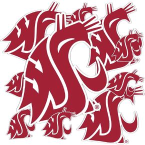 Desert Cactus Washington State University Cougars Stickers Vinyl Decals Laptop Water Bottle Car Scrapbook T3 (Type 3-1)