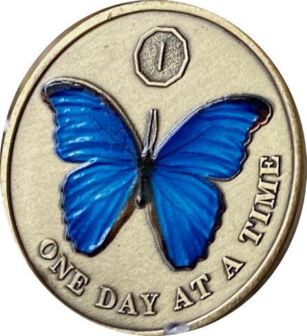 1 Year Blue Butterfly Medallion One Day at A Time Sobriety Chip in Saudi Arabia