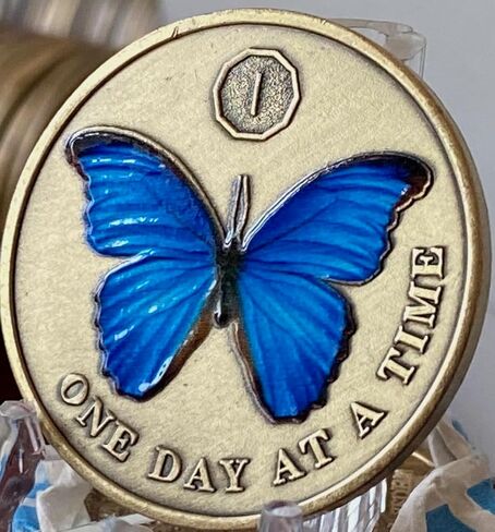 1 Year Blue Butterfly Medallion One Day at A Time Sobriety Chip in Saudi Arabia