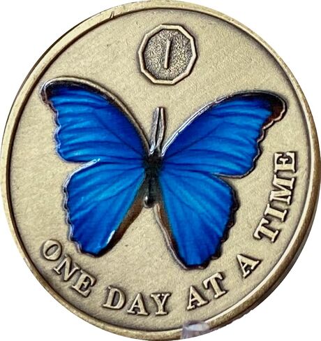 1 Year Blue Butterfly Medallion One Day at A Time Sobriety Chip in Saudi Arabia