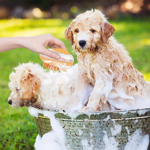 WishLotus Pet Bath Brush, Puppy Massage Brush with Shampoo Dispenser Pet Grooming Tool for Small Animals Soft Silicone Dog Shower Brush for Long Short Haired Dog and Cat Washing (Pink) in Saudi Arabia