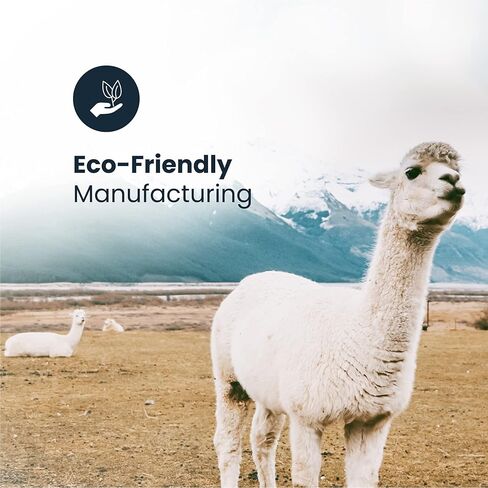 Gamboa Fun Pack قبعة الألبكة الصغيرة والجوارب الألبكة قبعات شتوية متعددة الألوان جوارب ممتعة قبعة صوفية جوارب صوفية in Kuwait