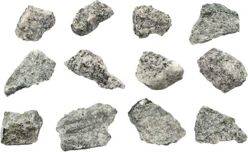 EISCO 12PK Raw Porphyritic Granite, Igneous Rock Specimen - Approx. 1"- Geologist Selected & Hand Processed - Great for Science Classrooms in Saudi Arabia
