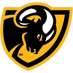 VCU Basketball Logo OriginalStickers0854 Set of Two (2X) Stickers , Laptop , Car , Truck , Size 4 inches on Longer Side
