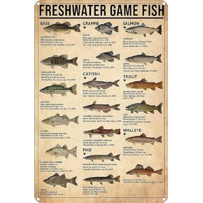 Boy's Fishing Gifts Vintage Fresh Water Gamefish Knowledge Tin Sign for Man Cave Bedroom Lake House Cabin Wall Art Decor 8x12 Inch (3069)