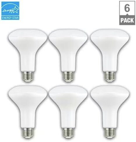 EcoSmart 65-Watt Equivalent BR30 Dimmable LED Light Bulb Daylight (6-Pack) in Saudi Arabia