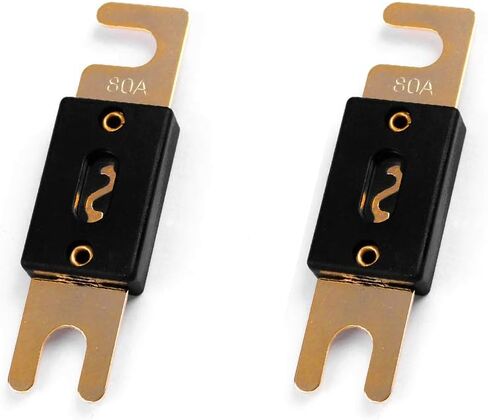 60Amp ANL Fuses Gold Plated Fuse 2 Pack (60Amp) in Saudi Arabia