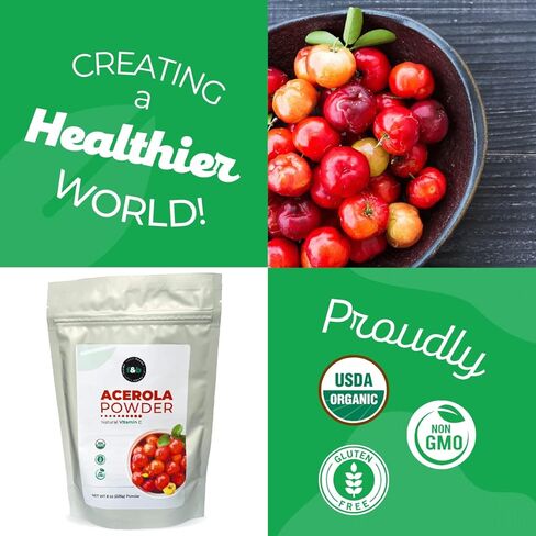 f&b superfoods Pure Organic Acerola Cherry Powder (8oz), Organic Vitamin C for Immune System Booster, Smoothie, Drinks and Juice Detox, Vegan, Brazil Origin. in Saudi Arabia