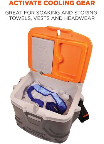 Ergodyne Chill Its 5170 Hard Sided Cooler, Insulated Lunch Box, 17-Quart in Saudi Arabia