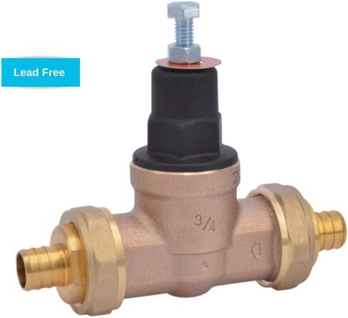 صمام تنظيم الضغط المجعد المزدوج EB45 من Cash Acme مقاس 3/4 بوصة (PRV)، سطح معدني، 45 رطل لكل بوصة مربعة، 24471-0045 in Kuwait